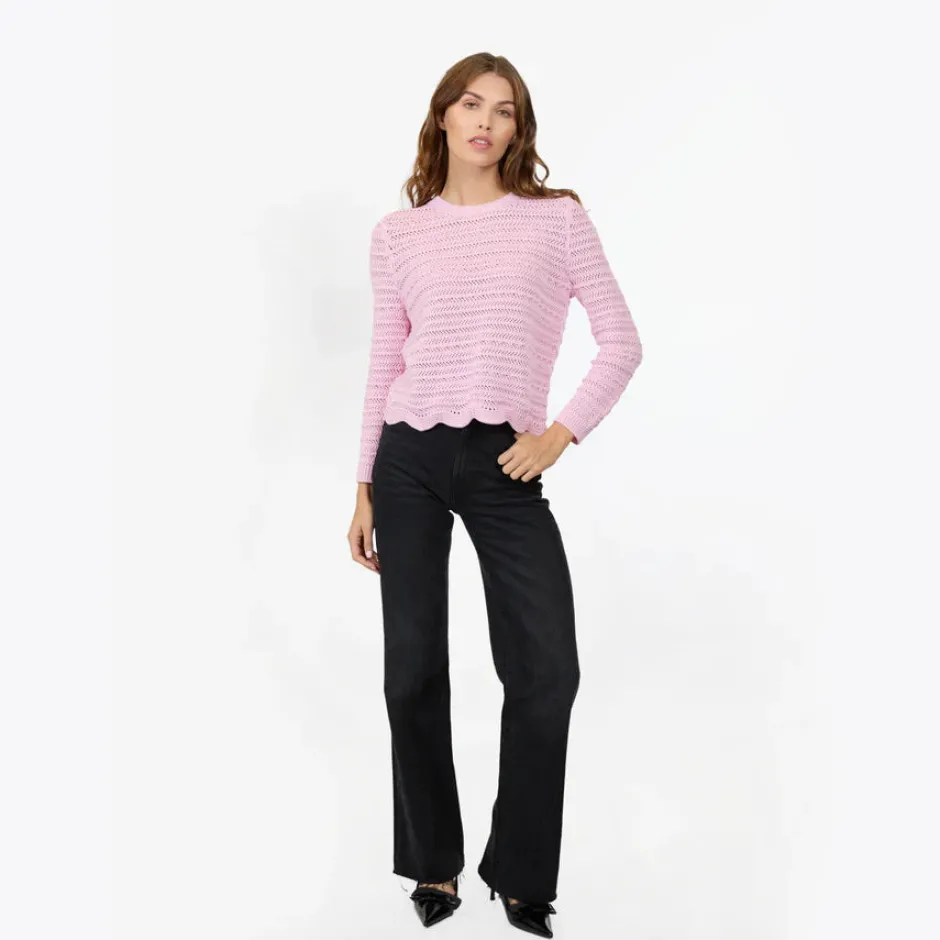 Online - Crew w/ Scallop Edge - Multiple Colors Sweaters & Knits