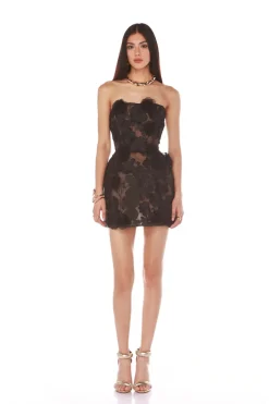 New - Jasmine Maraya Mini Dress - Black/Nude Mini Dresses | Dresses