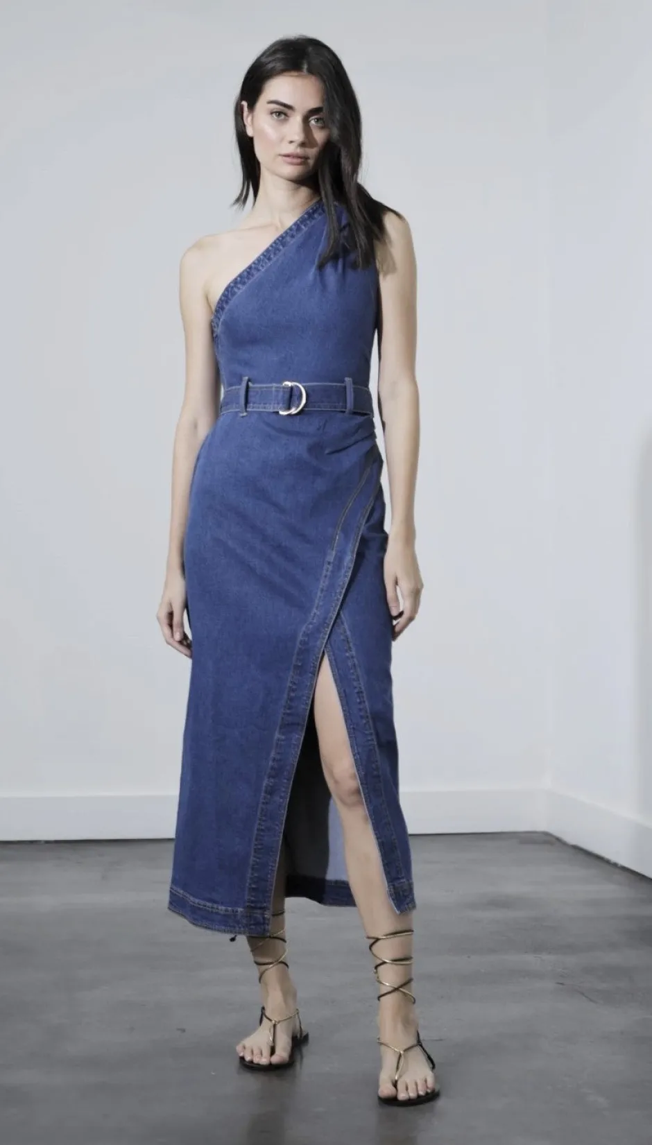 Hot - Carlisle Denim Dress - Denim Dresses | Midi