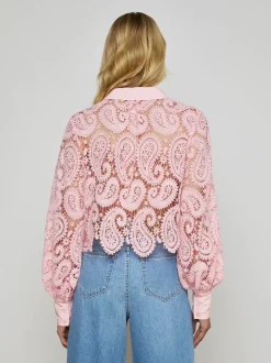 New - Odelia Cropped Lace Blouse - Blush Blouses