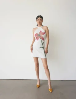 Sale - Nola Halter Neck Dress - White Mini Dresses | Midi