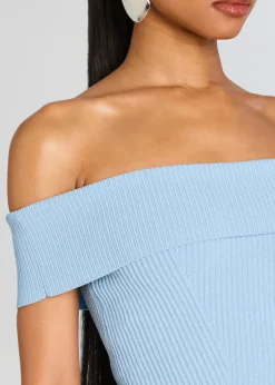 Discount - Erica Knit Dress - Metallic Powder Blue Mini Dresses | Dresses